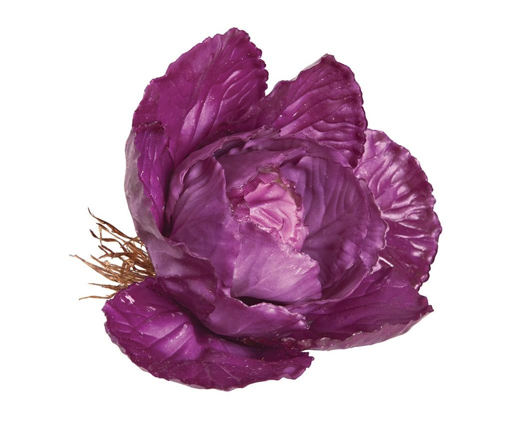 Decoratiune Purple Cabbage