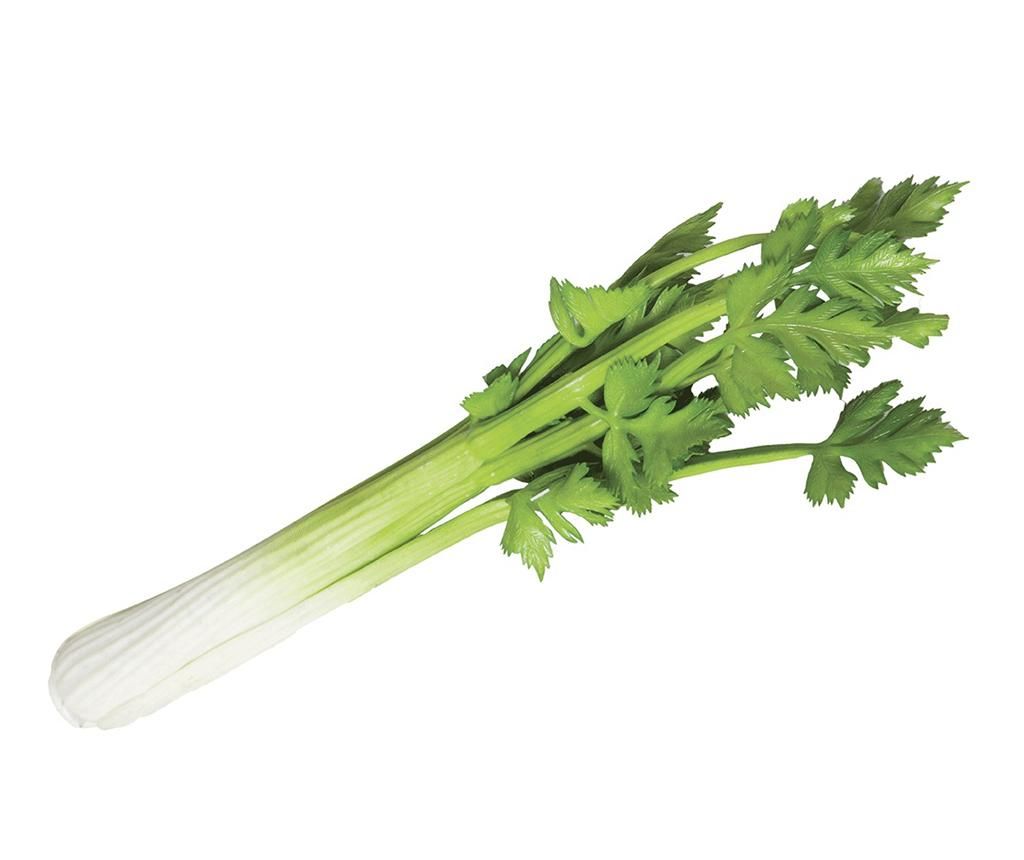 Decoratiune Celery - Catral