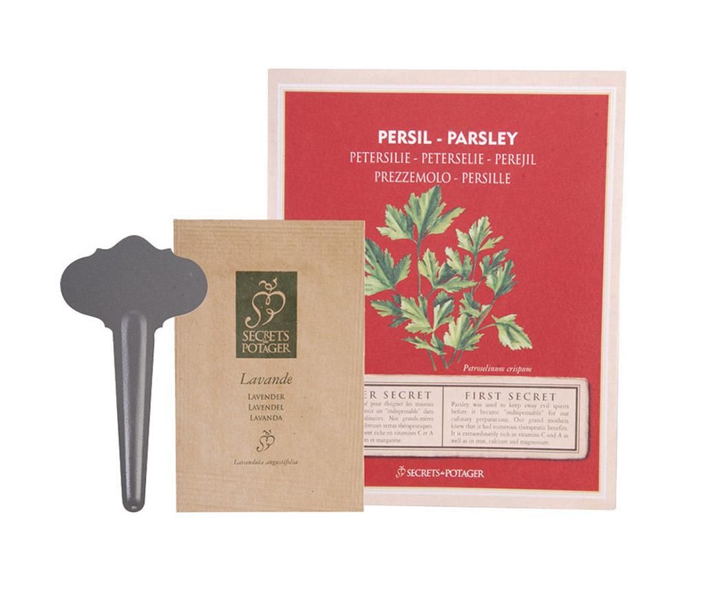 Pachet cu seminte de patrunjel Growing Healty Parsley