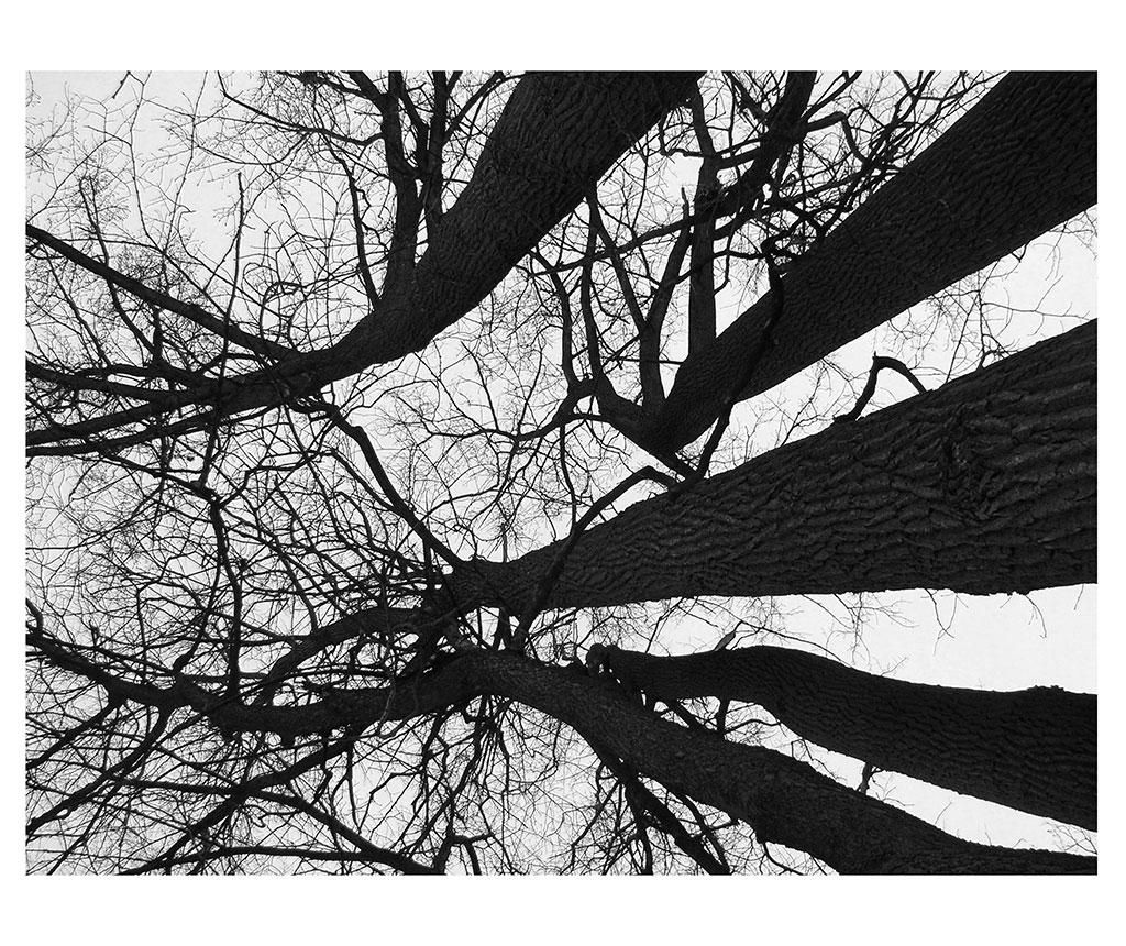 Tablou Winter Tree 90x120 cm