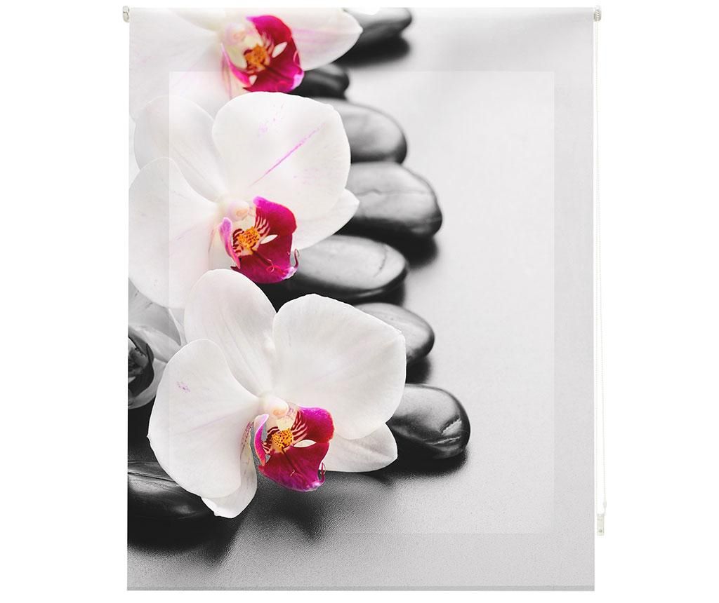 Jaluzea tip rulou Orchid 140×180 cm – BlinDECOR, Alb