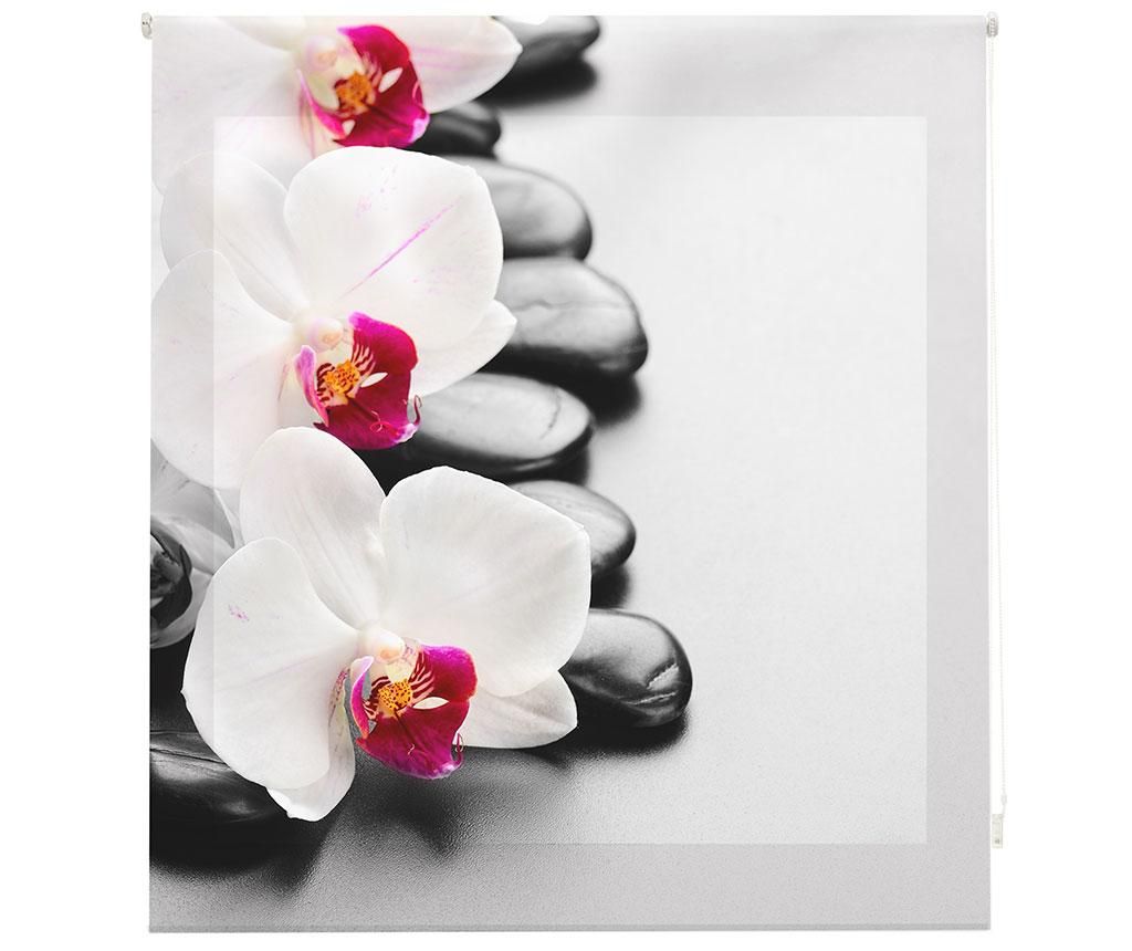 Jaluzea tip rulou Blindecor, Orchid, poliester imprimat digital, 160×180 cm – BlinDECOR, Alb Blindecor
