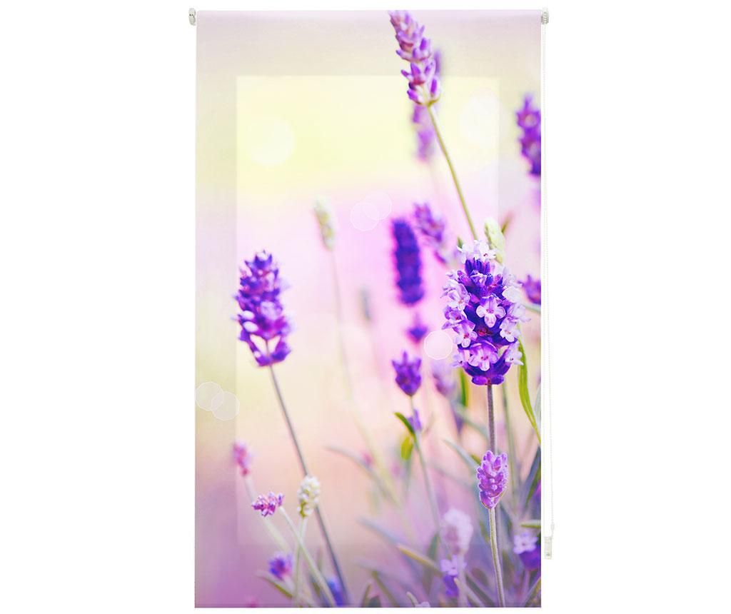 Jaluzea tip rulou Translucent Digital 100x180cm – Blindecor, Multicolor Blindecor imagine 2022