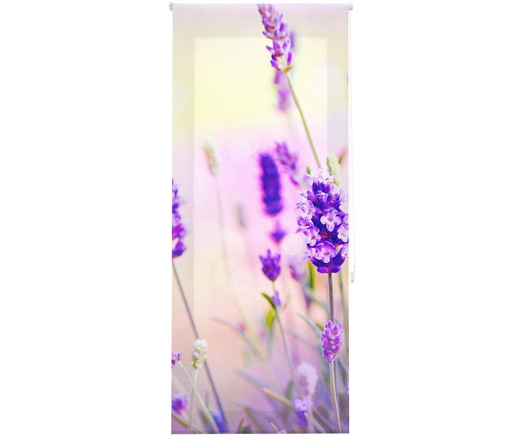 Jaluzea tip rulou Translucent Digital 100x250cm – BlinDECOR, Multicolor