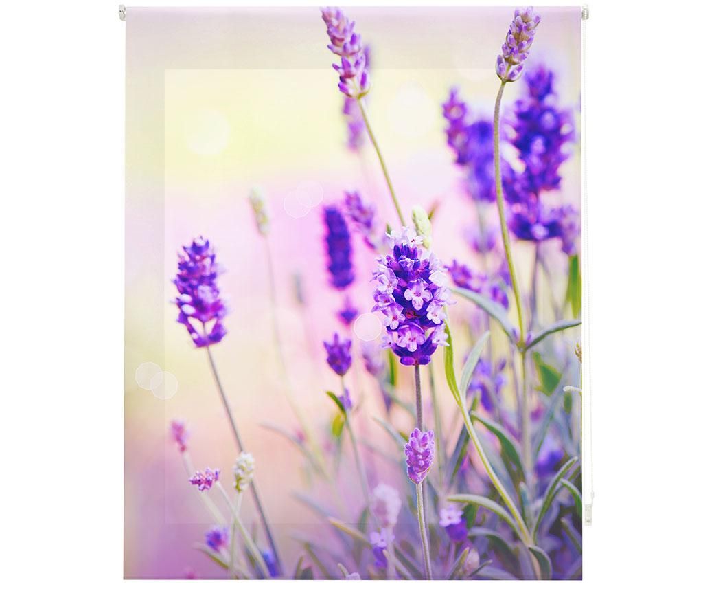 Jaluzea tip rulou Translucent Digital 140x180cm – BlinDECOR, Multicolor