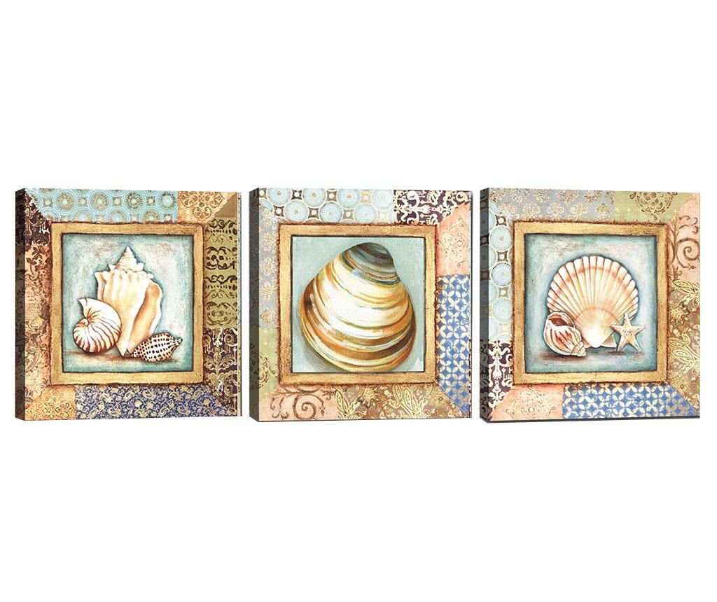 Set 3 tablouri Seashells 30×30 cm – Tablo Center, Crem