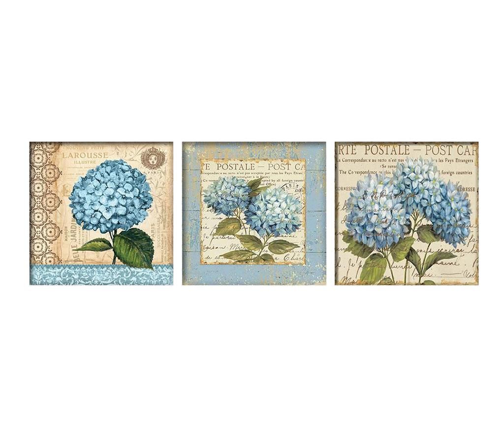Set 3 tablouri Hydrangea Postale 30x30 cm - Tablo Center, Crem,Albastru
