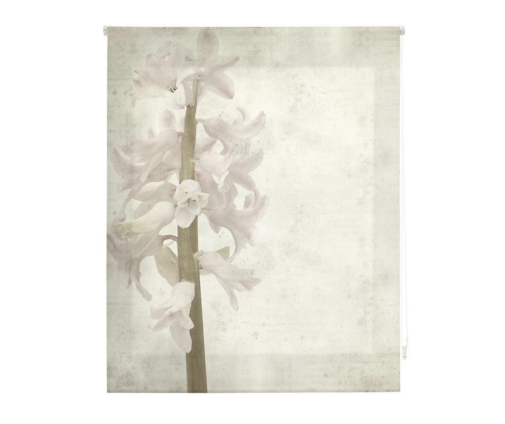 Jaluzea tip rulou Hyacinth 160×180 cm – BlinDECOR, Gri & Argintiu Blindecor