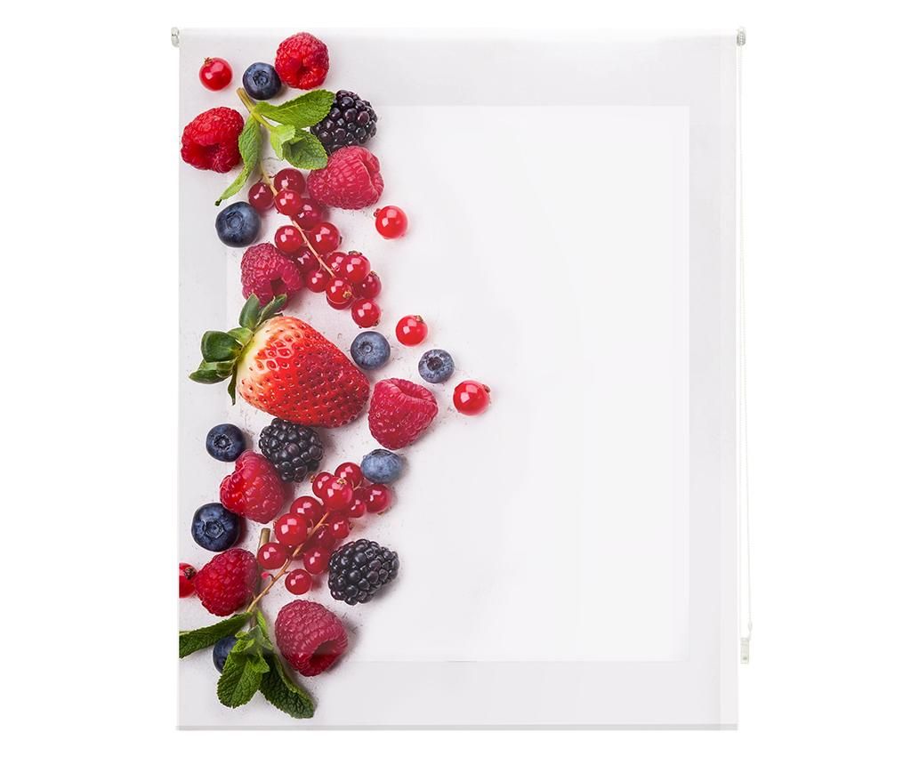 Jaluzea tip rulou Berry Much 80×180 cm – BlinDECOR, Alb