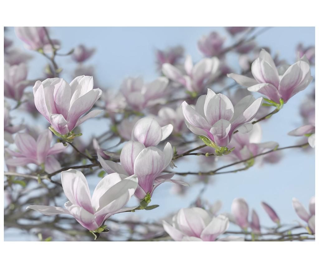 Fototapet Magnolia 254x368 cm