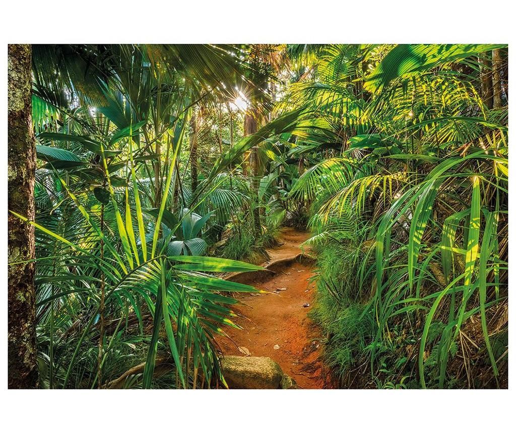 Fototapet Jungle Trail 254x368 cm