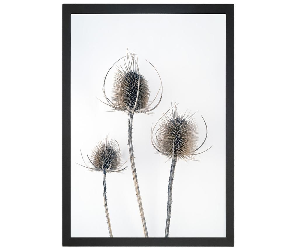 Tablou Thistles 24x29 cm - Oyo Concept