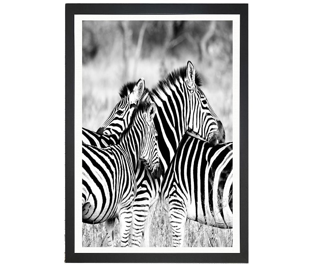 Tablou Brighton Zebras 24x29 cm - Oyo Concept