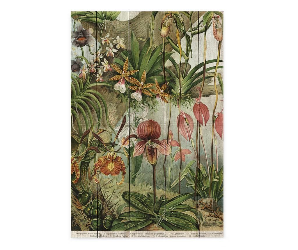 Tablou Madre Selva, Jungle Flowers, lemn de pin imprimat, 40×60 cm – Madre Selva, Multicolor Madre Selva imagine reduceri 2022