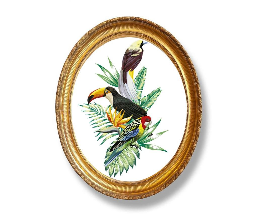 Tablou Tropical Birds 40×50 cm – Madre Selva, Multicolor Madre Selva imagine 2022