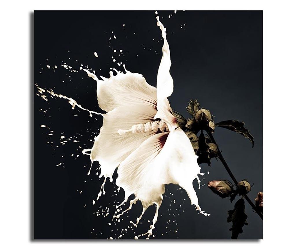 Tablou Bonanza, Liquid Flower, panza imprimata, 45×45 cm – Bonanza, Alb,Negru Bonanza