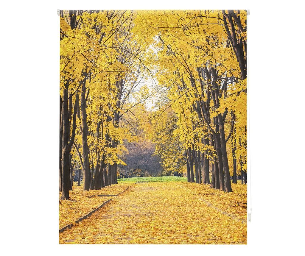 Jaluzea tip rulou Blindecor, Forever Autumn, poliester imprimat digital, 80×180 cm – BlinDECOR, Alb BlinDECOR