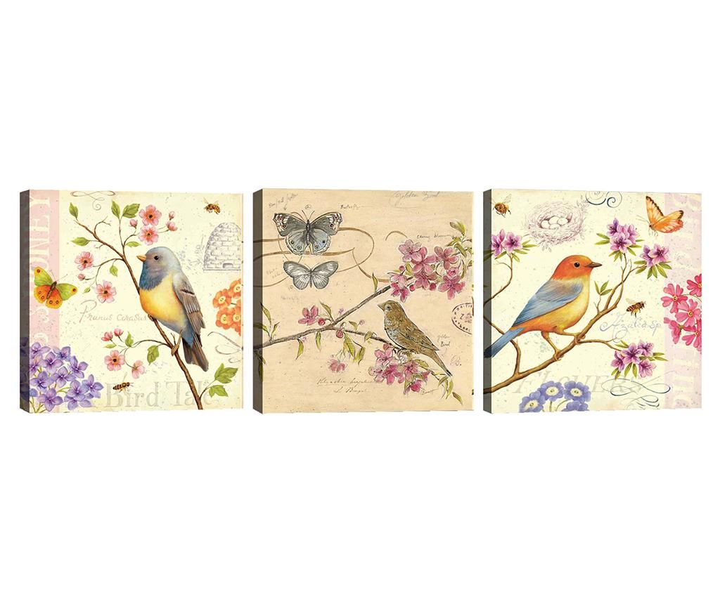 Set 3 tablouri Birds 30x30 cm - Tablo Center, Multicolor