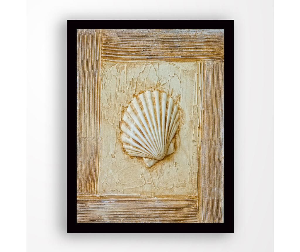 Tablou Sea ​​Shell 24x29 cm