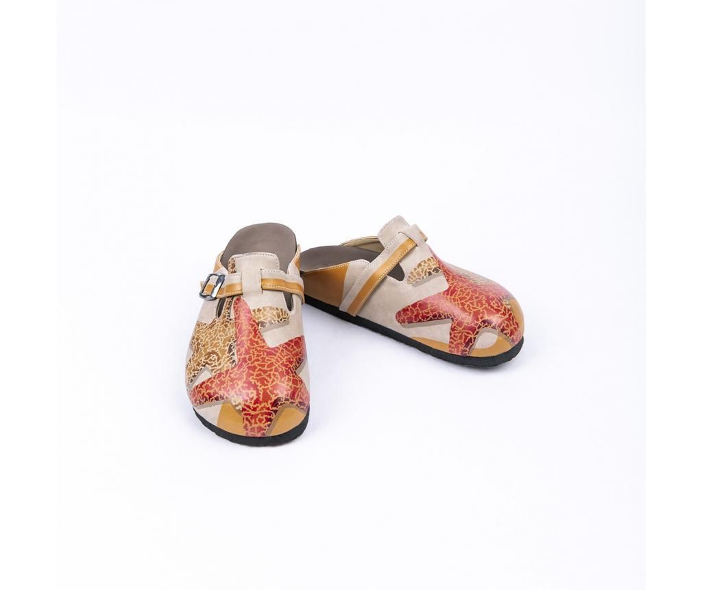 Saboti dama Starfish 42 - CELLA, Multicolor