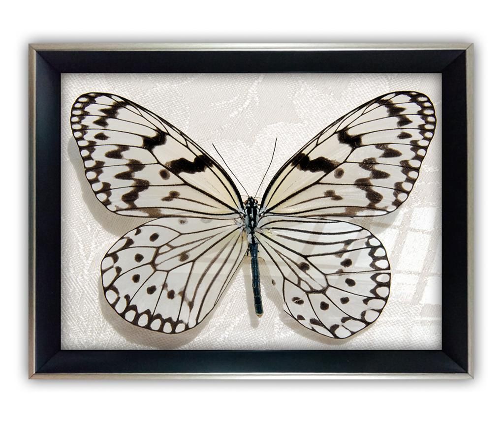 Tablou Tablo Center, Big Butterfly, sticla imprimata, 55×75 cm – Tablo Center, Multicolor Tablo Center imagine 2022