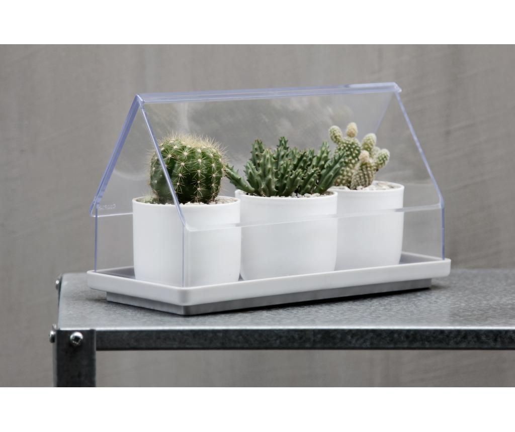 Ghiveci Micro Greenhouse