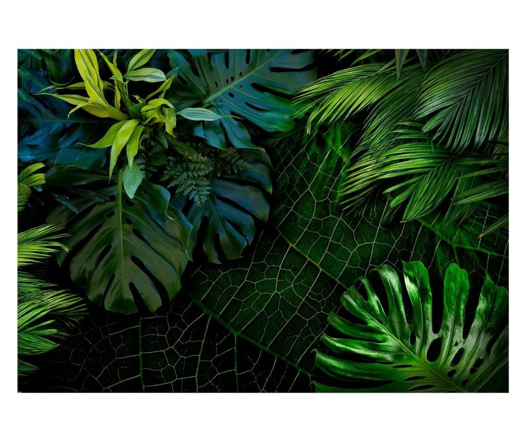 Fototapet Dark Jungle 210x300 cm