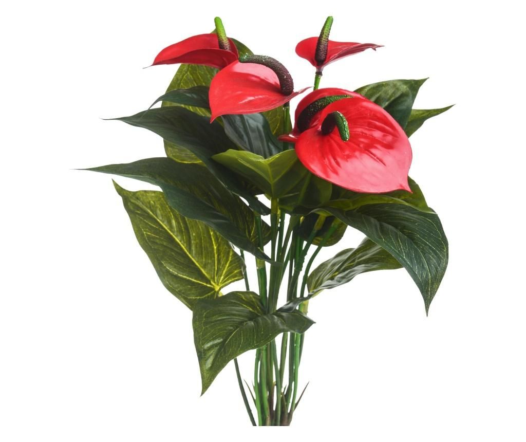 Planta artificiala – Dino Bianchi, Rosu
