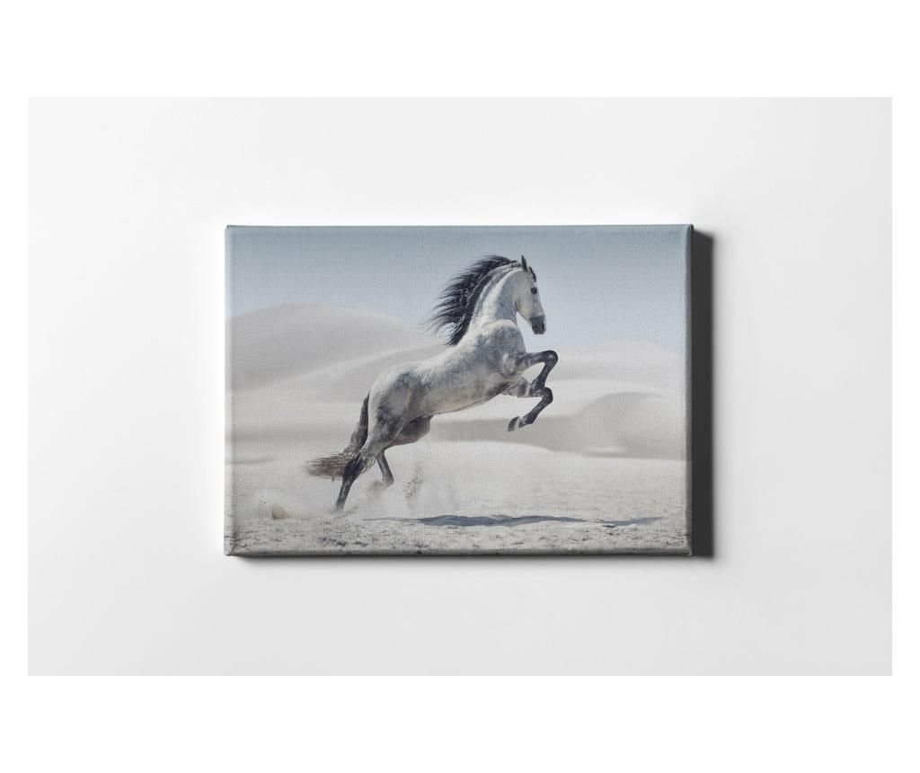 Tablou White Horse 40×60 cm – CASBERG, Multicolor CASBERG