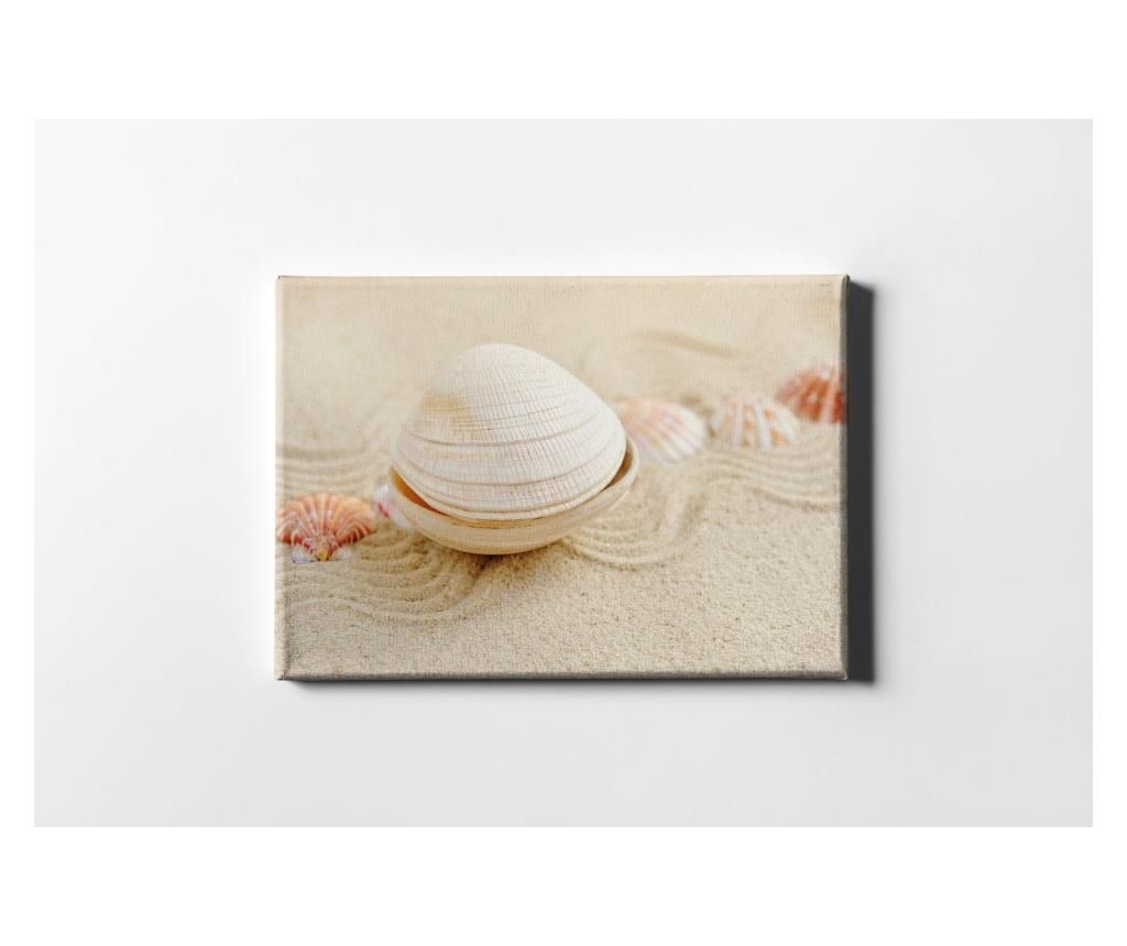 Tablou Casberg, Sea Shell, canvas din bumbac, 60×90 cm – CASBERG, Multicolor CASBERG imagine 2022