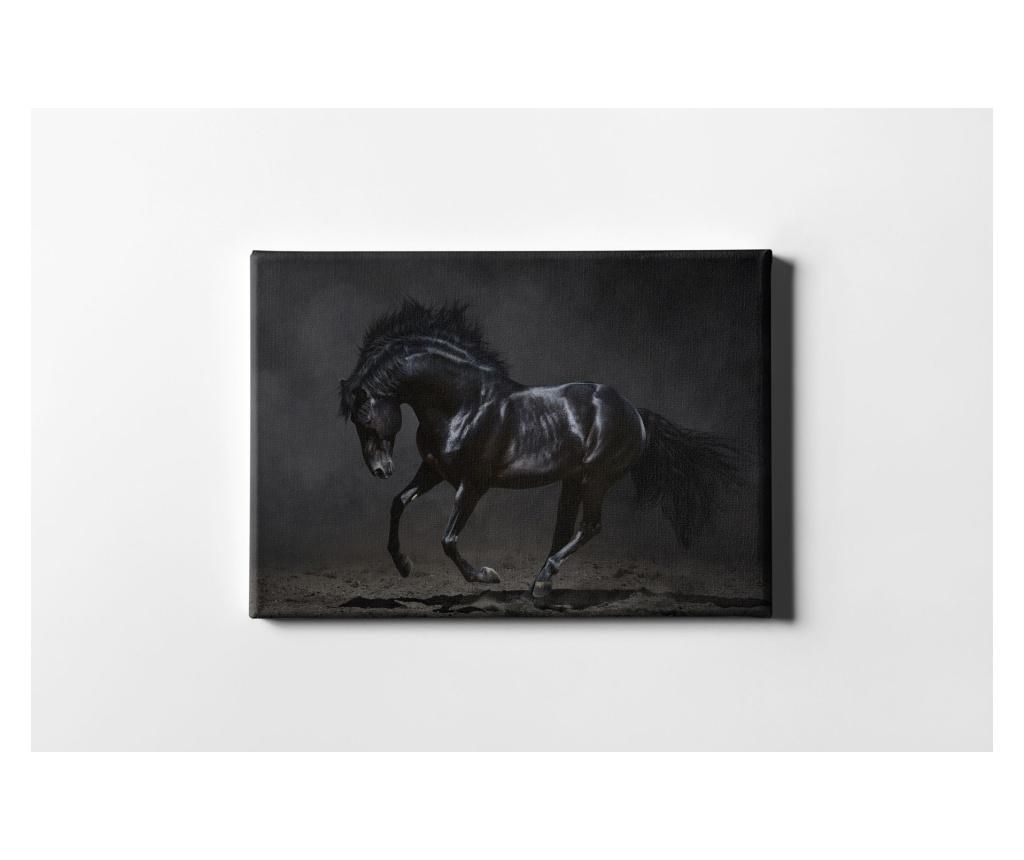 Tablou Casberg, Horse, canvas din bumbac, 40×60 cm – CASBERG, Multicolor CASBERG imagine 2022