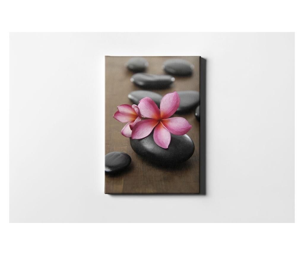 Tablou Casberg, Pink Flower And Stone, canvas din bumbac, 40×60 cm – CASBERG, Multicolor CASBERG imagine 2022