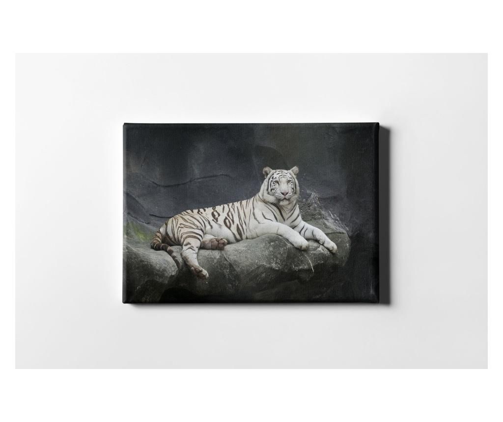 Tablou The White Tiger 40×60 cm – CASBERG, Multicolor CASBERG imagine 2022