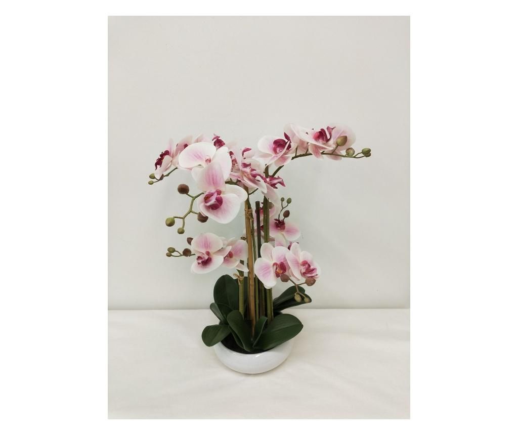 Floare artificiala - Dino Bianchi, Roz imagine