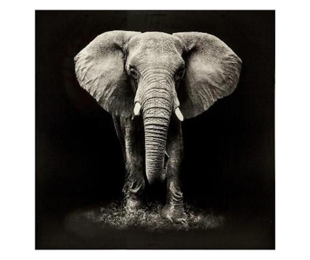 Tablou canvas Elefant Black, 100x100 cm - Atmosphera
