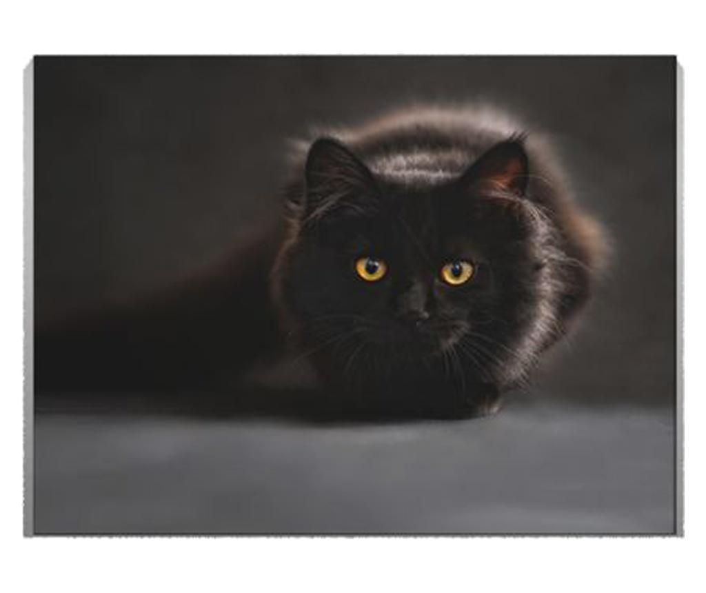 Tablou Canvas Black Cat 50x70 cm - DECOSTICK, Multicolor