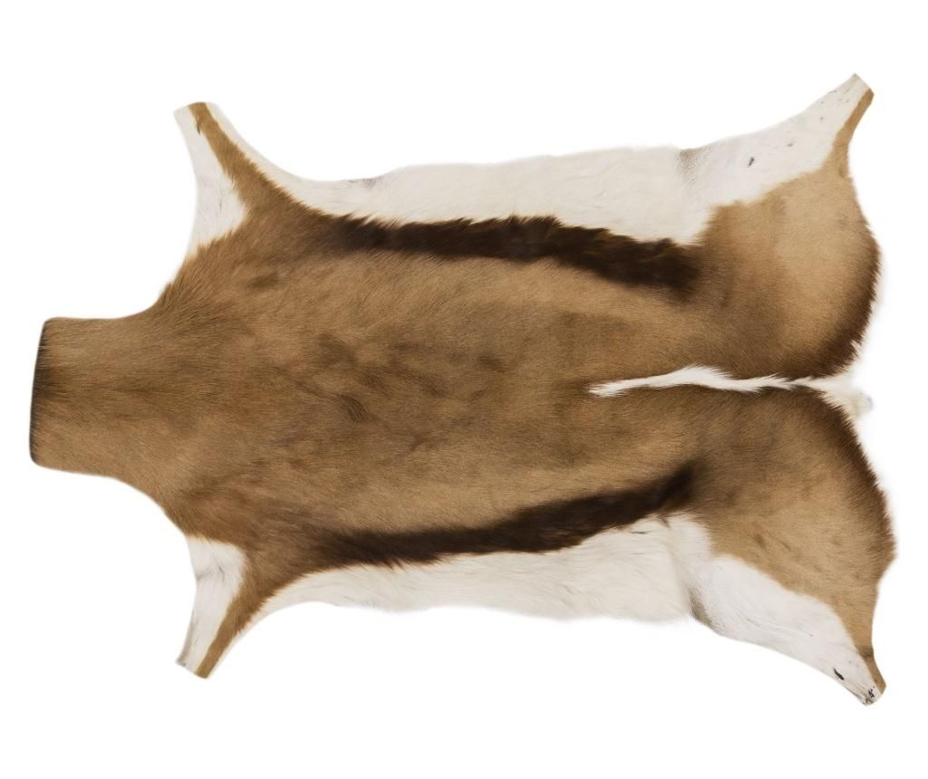 Covor din piele de animal Springbok 90x50 - Arctic Fur, Maro imagine