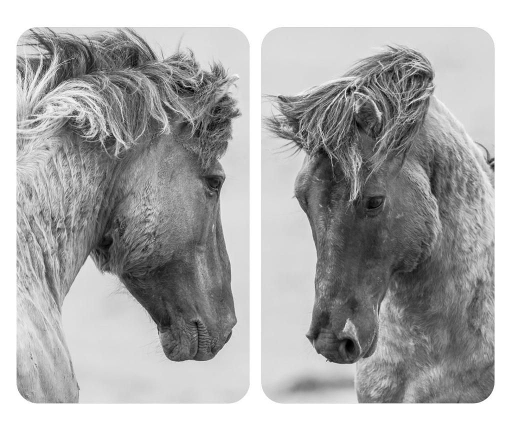 Set de 2 placi de acoperire a aragazului Horses – Wenko, Gri & Argintiu