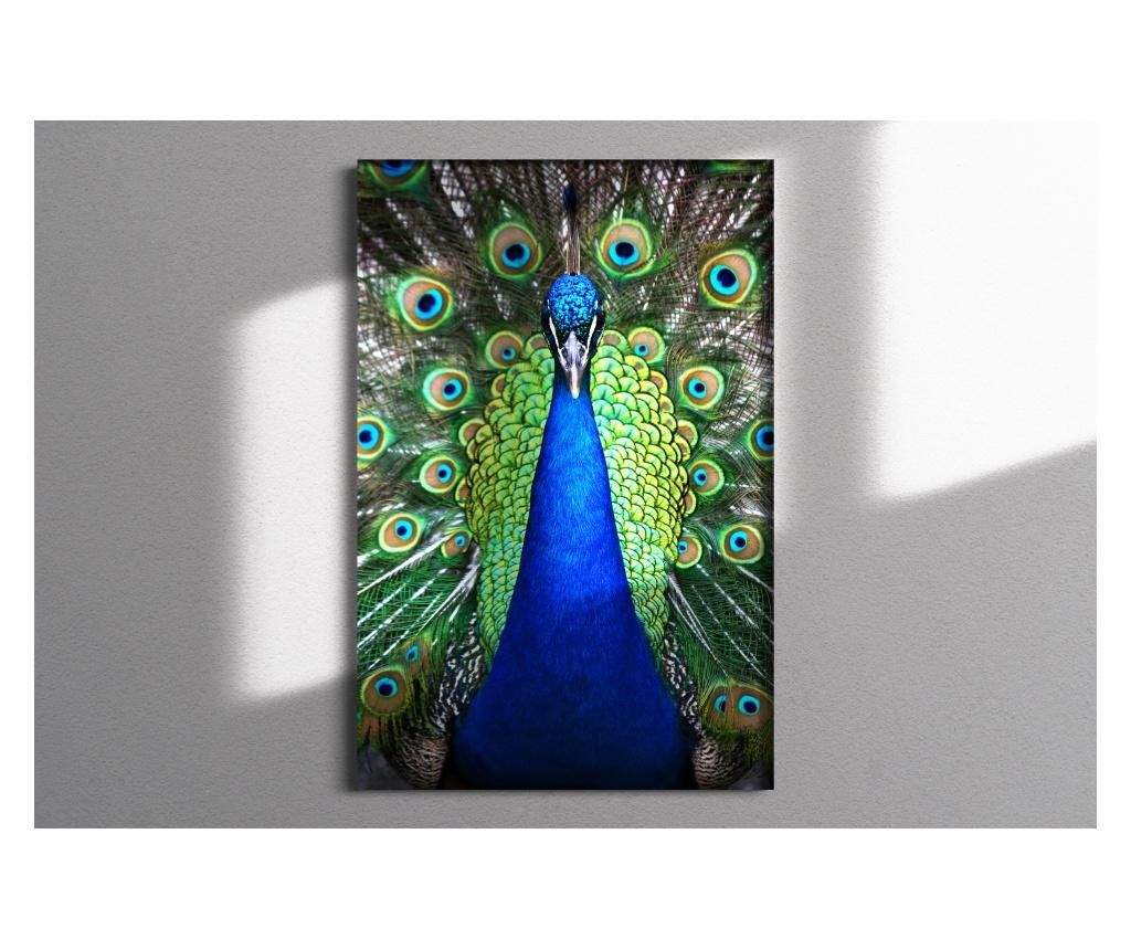 Tablou Sticla "Peacock" 45x70cm - Michaella Design