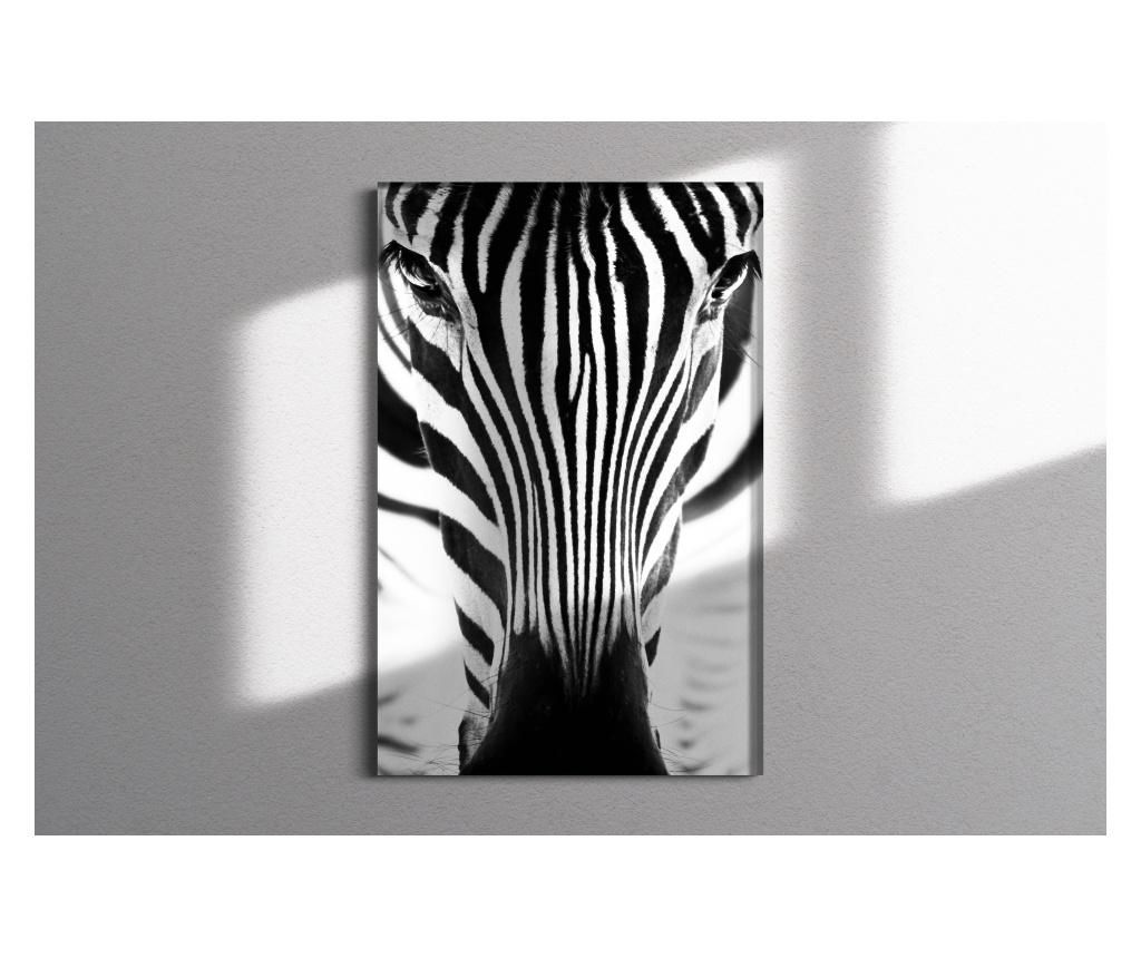 Tablou Sticla "Zebra" 45x70cm - Michaella Design