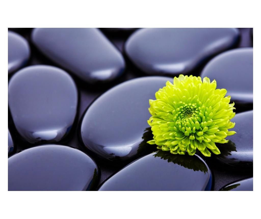 Fototapet Crizantema verde cu pietre, 250 x 200 cm - Blueback MAT