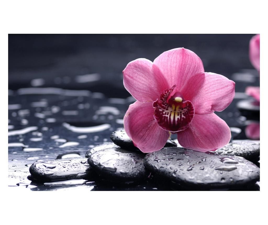 Fototapet Orhidee roz, 250 x 200 cm - Blueback MAT