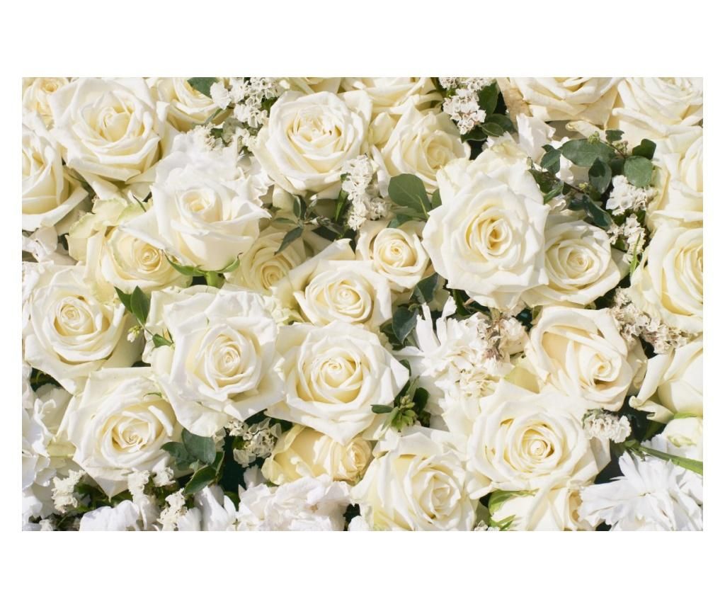 Fototapet autocolant Flori173 Trandafiri albi2, 135 x 225 cm - MEDIA