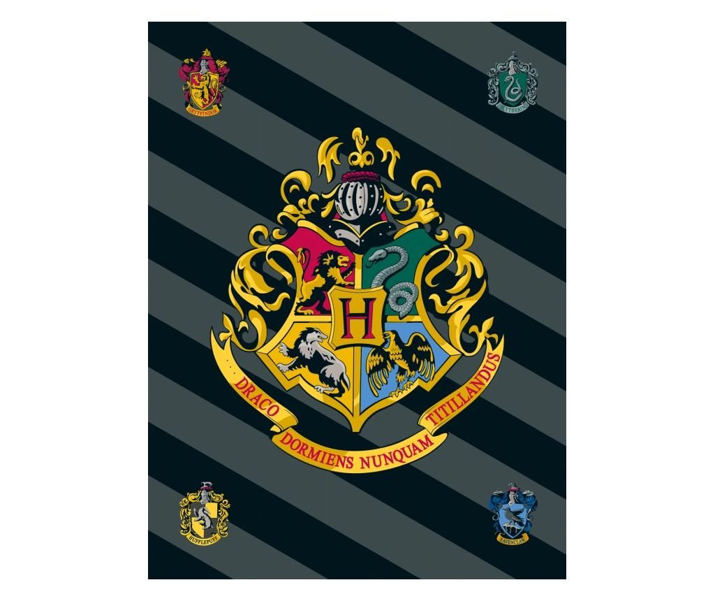 Patura Harry Potter, Harry Potter, poliester, 100x150 cm, multicolor - Harry Potter, Multicolor